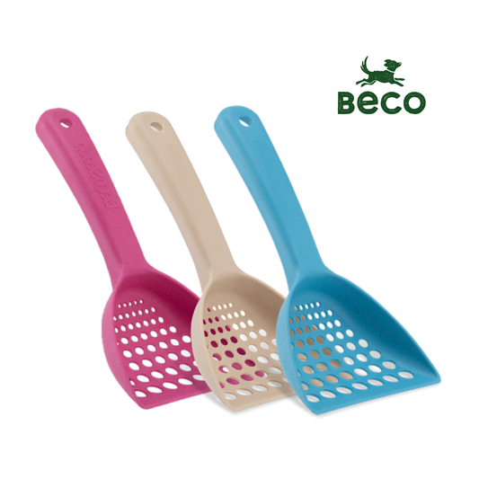 Beco Pala para Arena