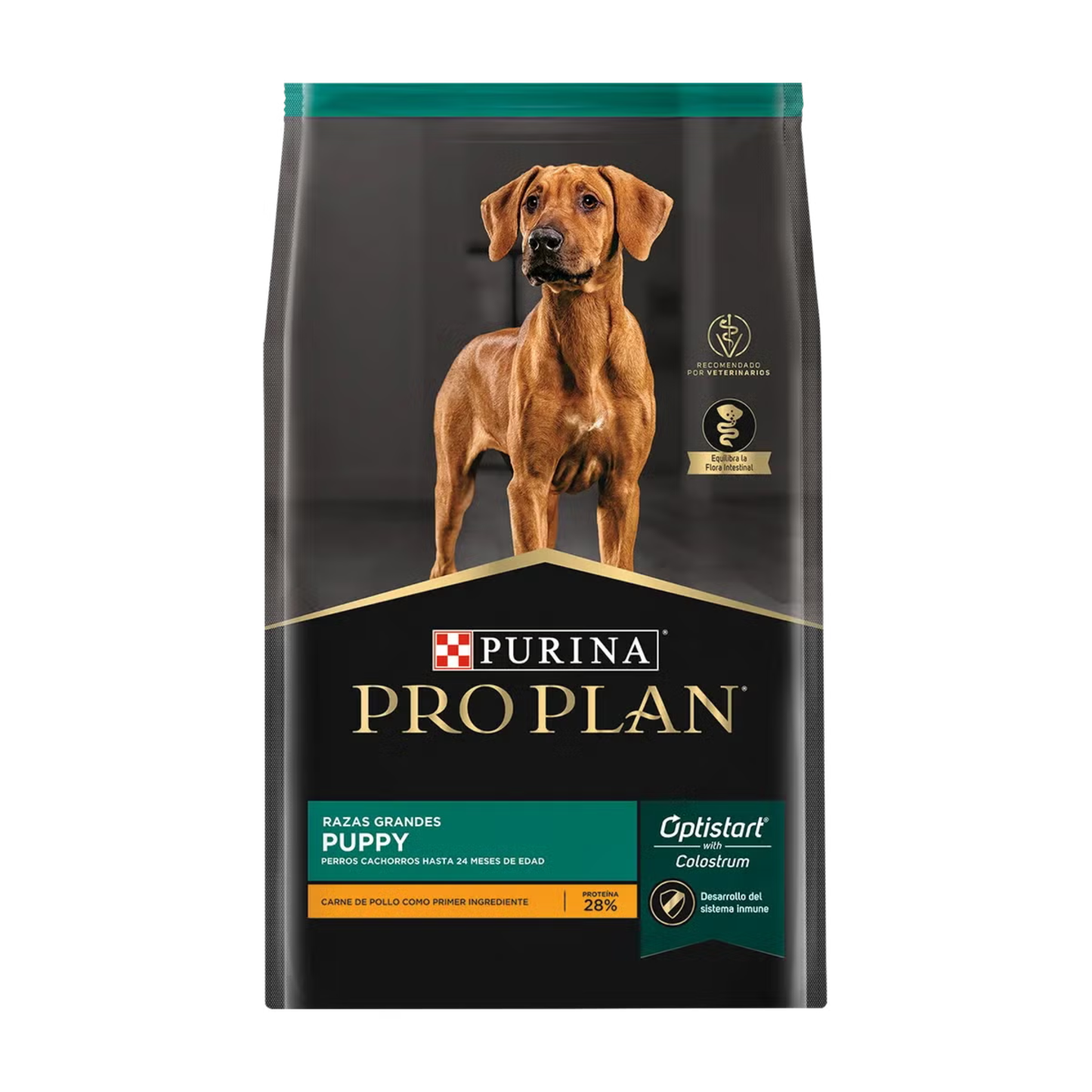 Pro Plan Carne de Pollo 15 Kg. - Perro - Cachorro - Raza Grande - Alimento Seco
